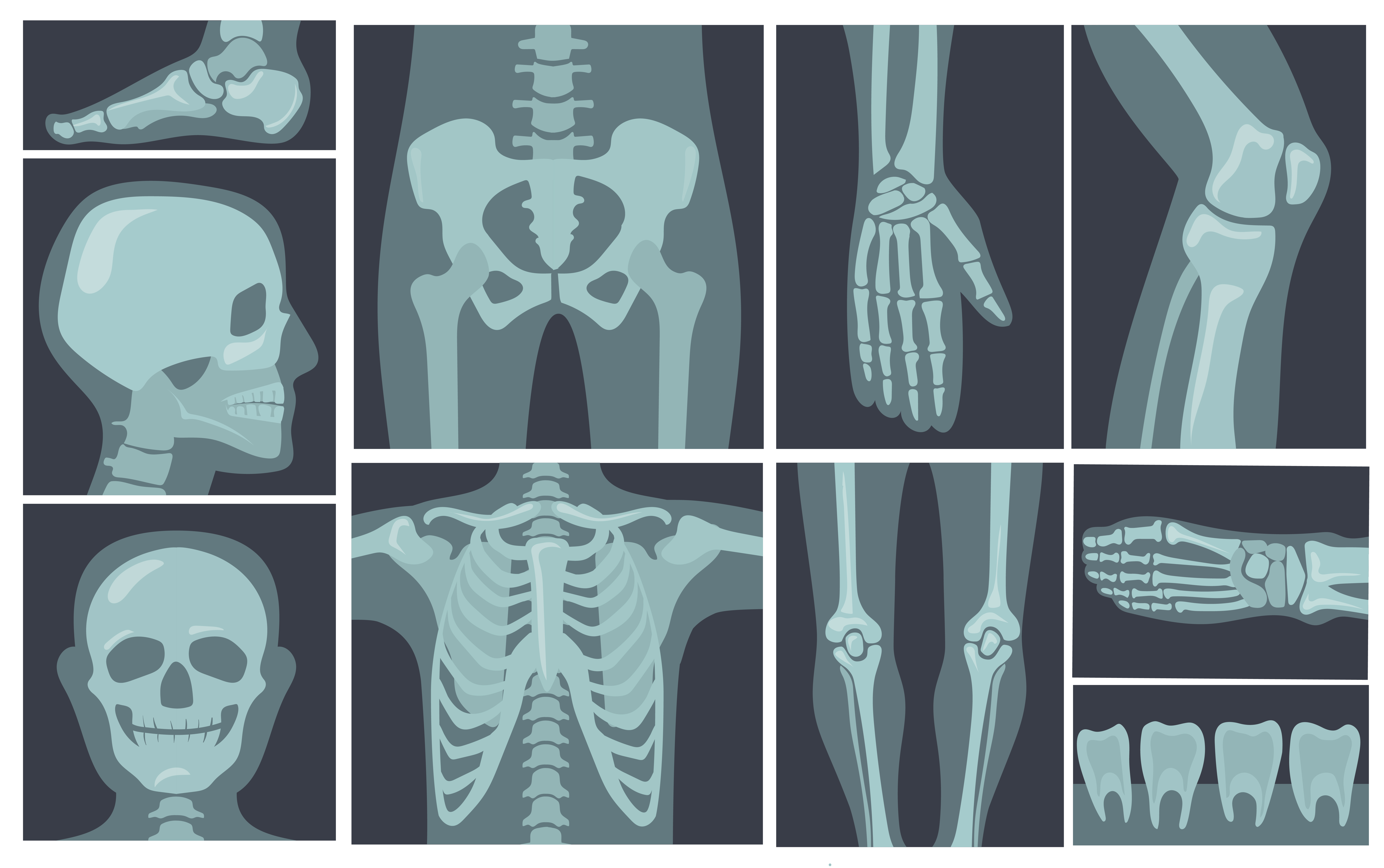 X-ray shots of human body.jpg